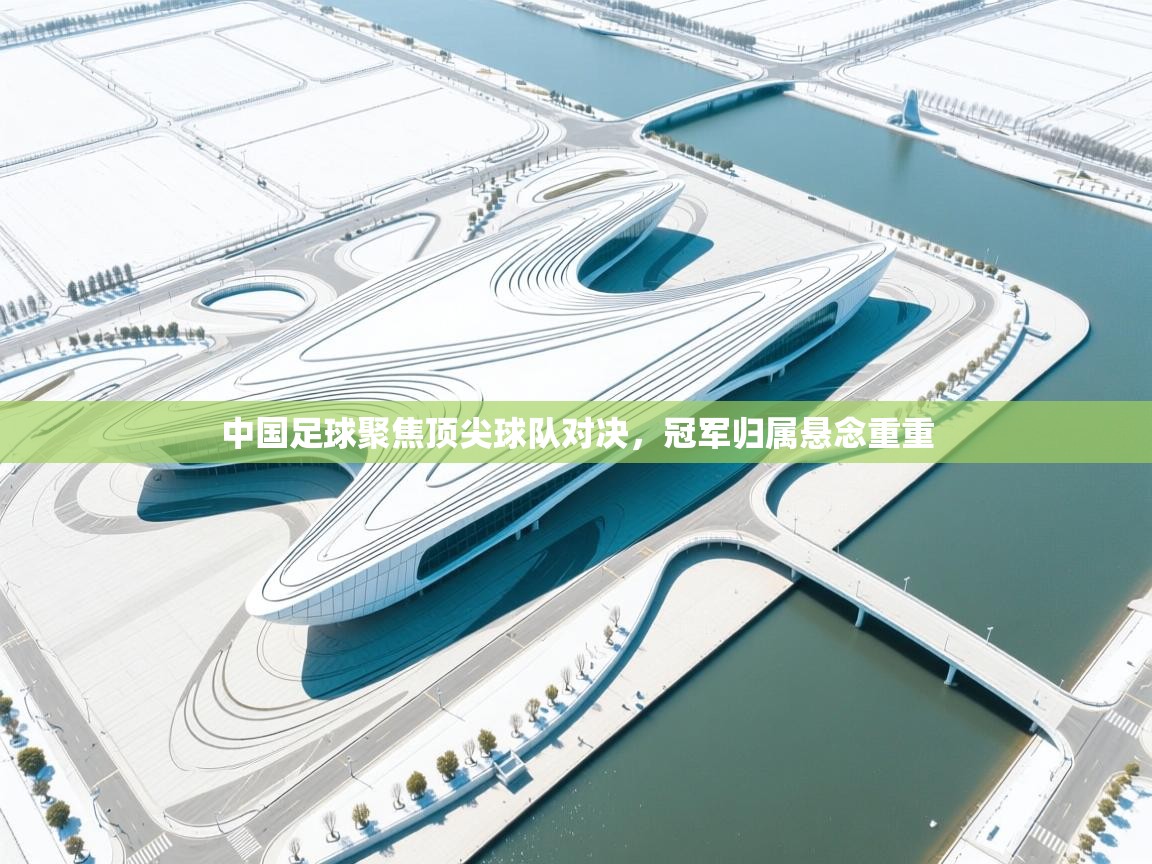 中国足球聚焦顶尖球队对决，冠军归属悬念重重  第2张