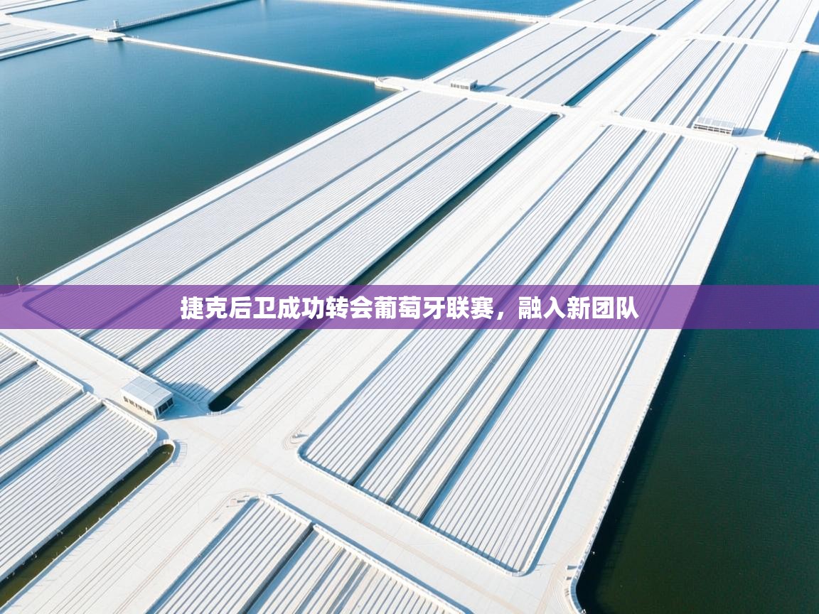 捷克后卫成功转会葡萄牙联赛，融入新团队