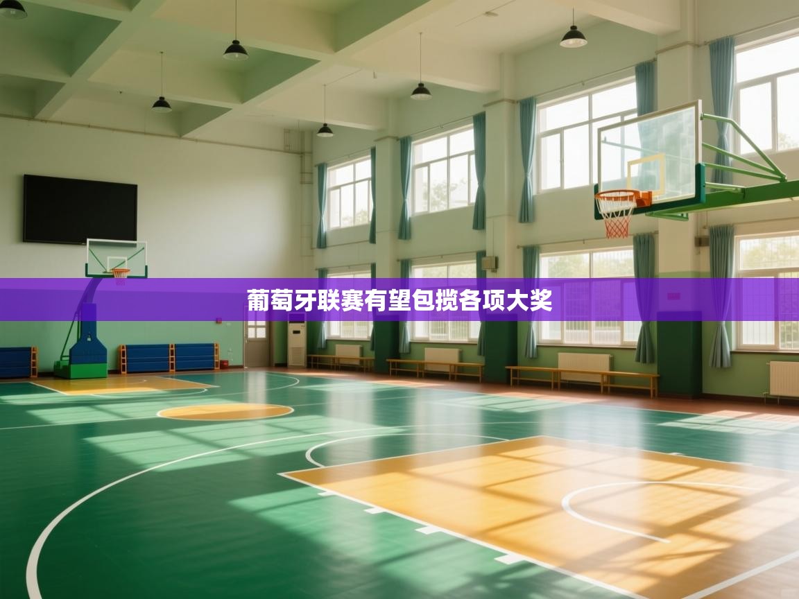 葡萄牙联赛有望包揽各项大奖